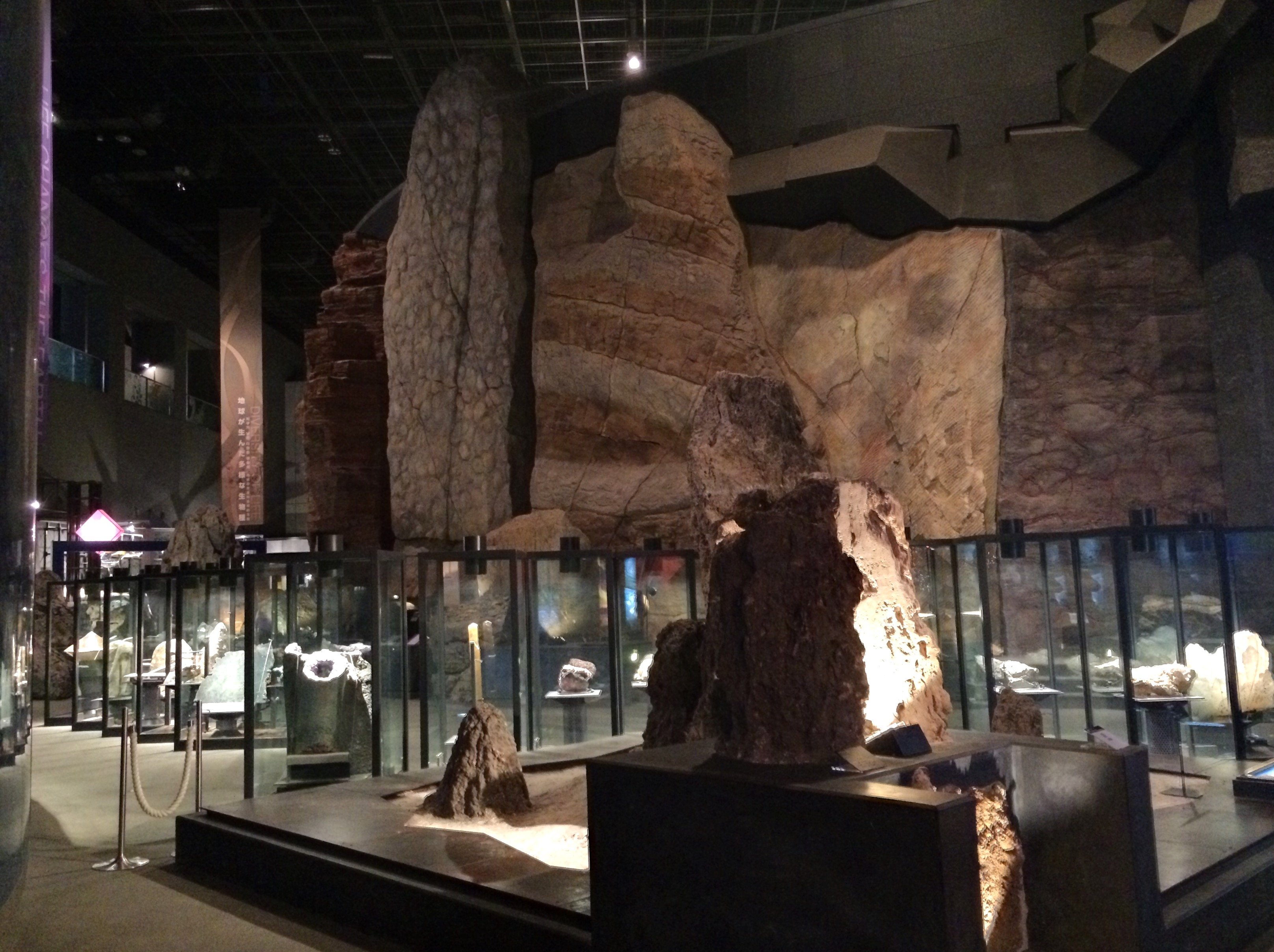 🏛️ 가나가와 현립 생명의 별・지구 박물관 (카나가와켄리츠 세이메이노호시 치큐하쿠부츠칸) 이미지 3